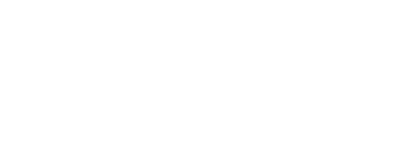 Blue Cross Blue Shield