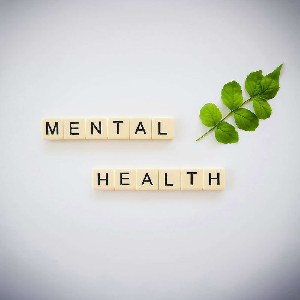 "Mental Health" spelled out in tiles, with a leafy branch