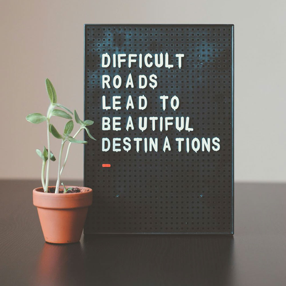 plant and sign board reading "difficult roads lead to beautiful destinations"